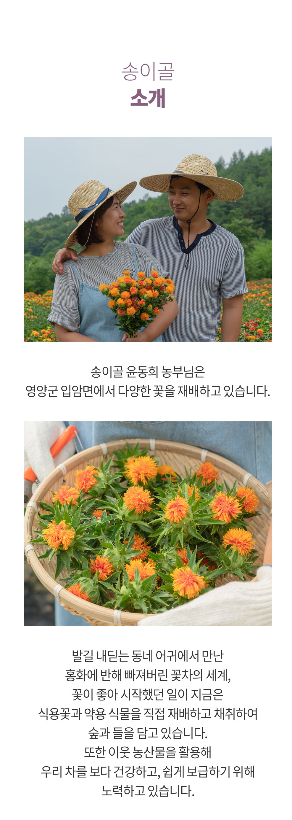 송이골 꽃차 상세페이지13.jpg
