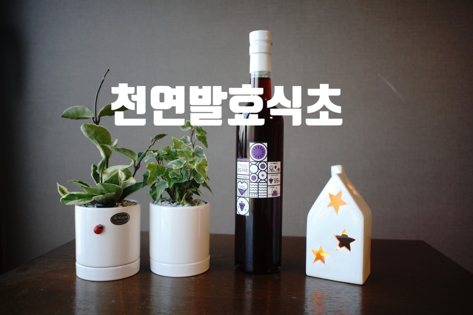 천연발효식초-포도.jpg