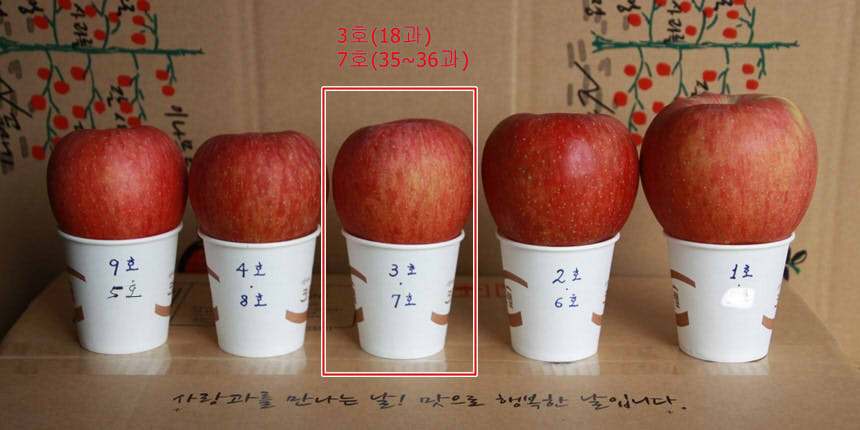 apple_size36과.jpg