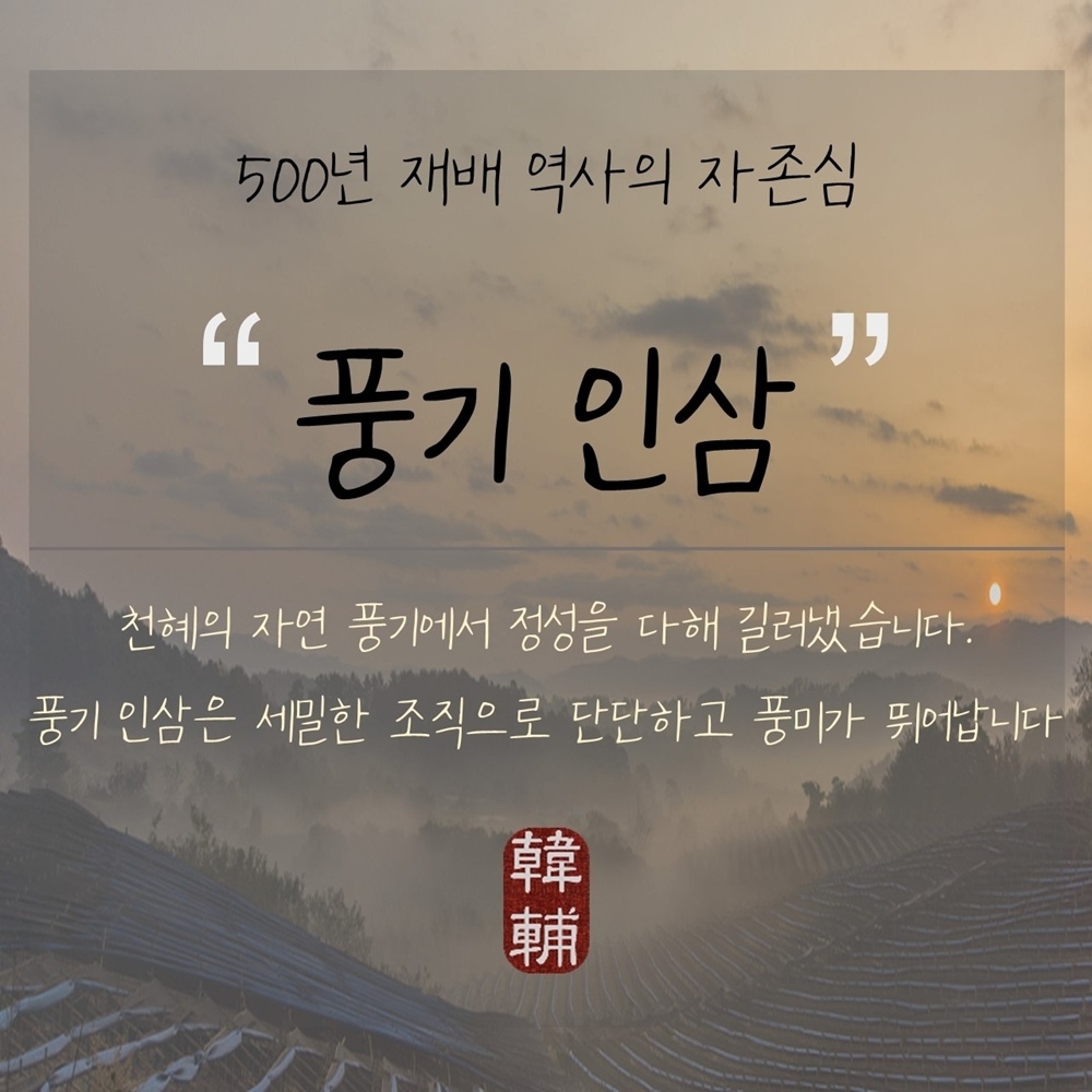 풍기인삼_추가사진.jpg