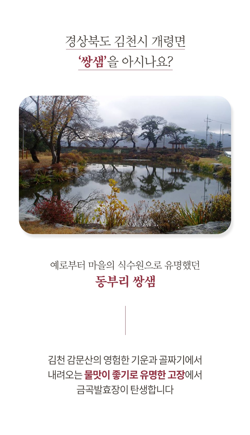 금곡발효고추장_05.jpg