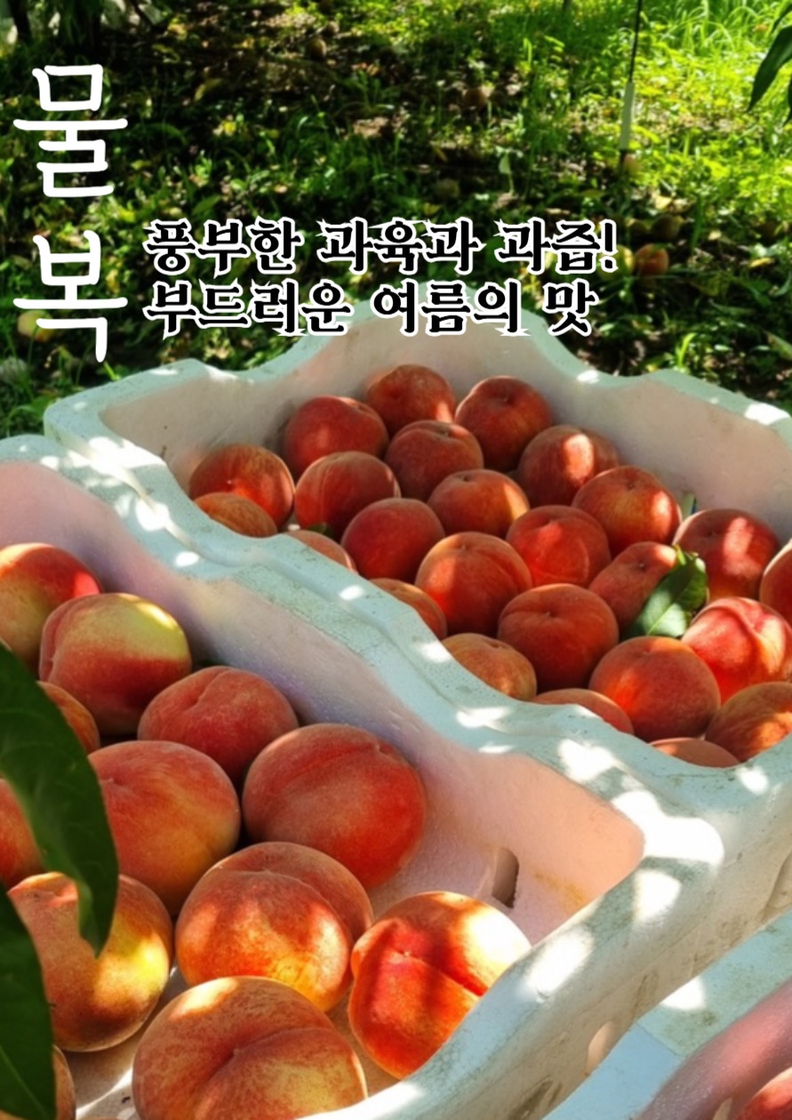 KakaoTalk_20240618_130742813_02.jpg