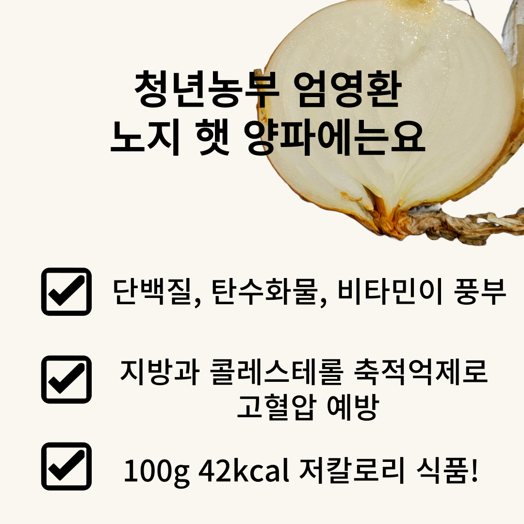 제목을-입력해주세요_-013 (1).png