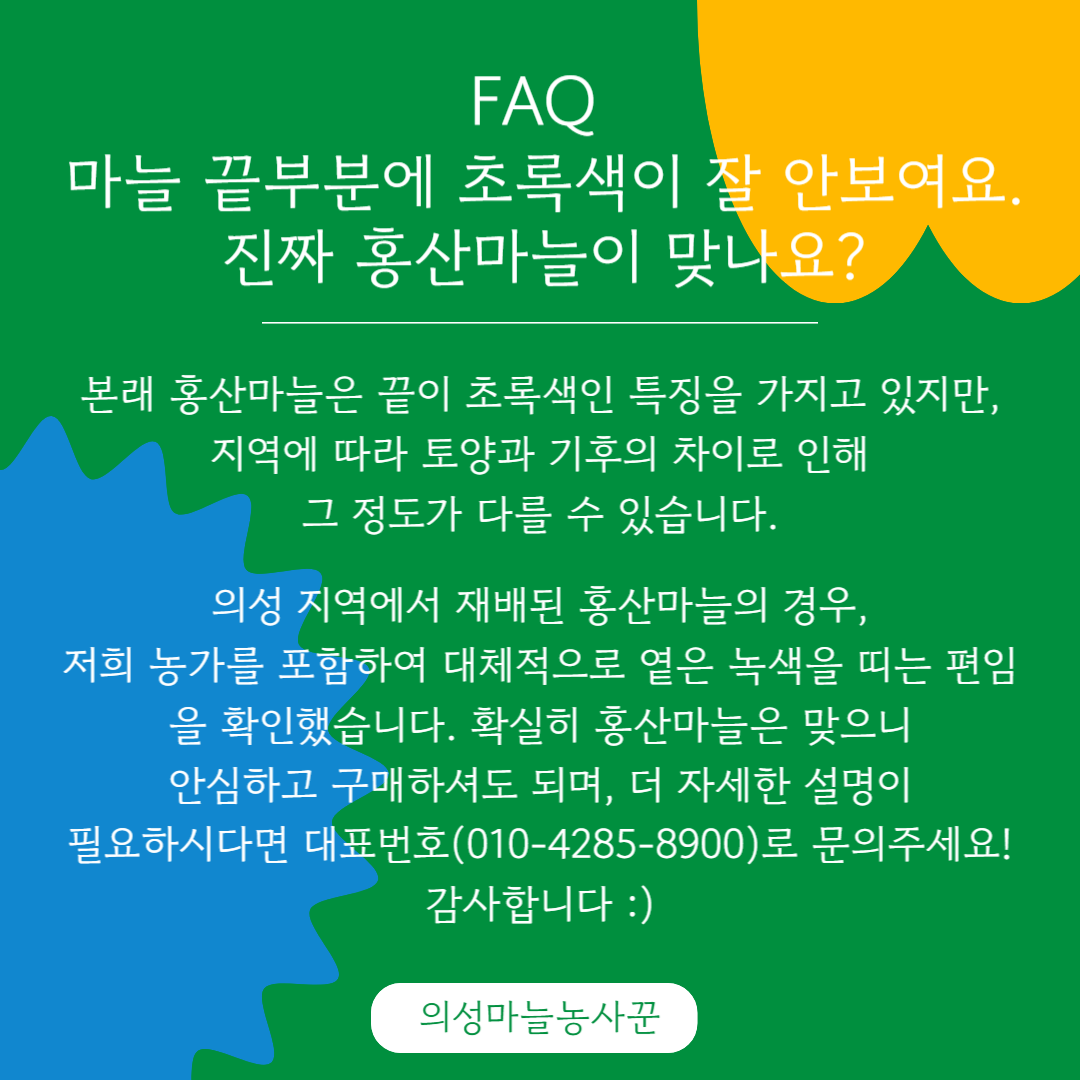 홍산마늘_옅은초록색 설명.png