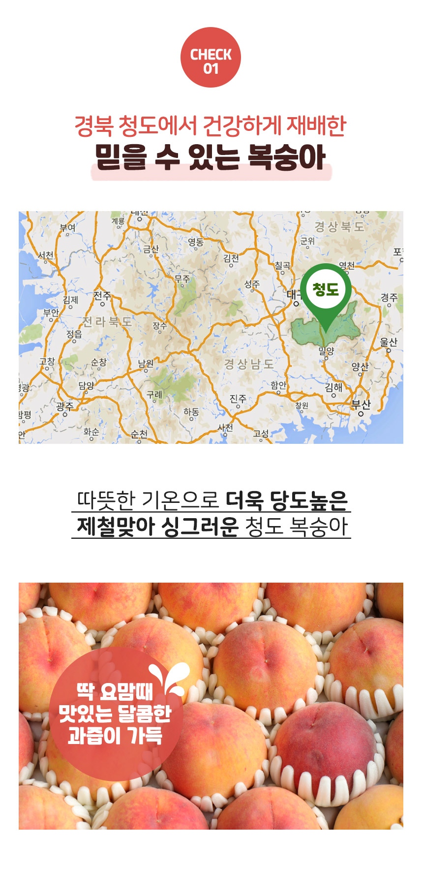 240723_청도복숭아(수정)_07.jpg