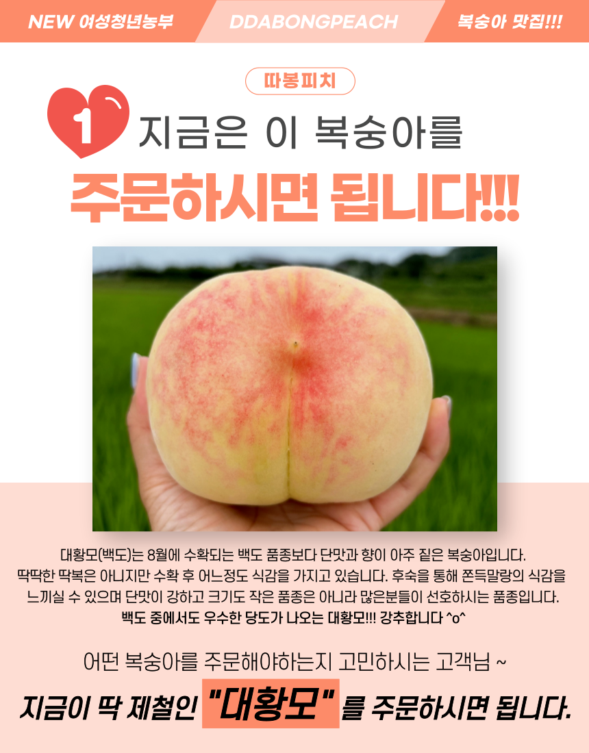 제목을-입력해주세요_-001.png