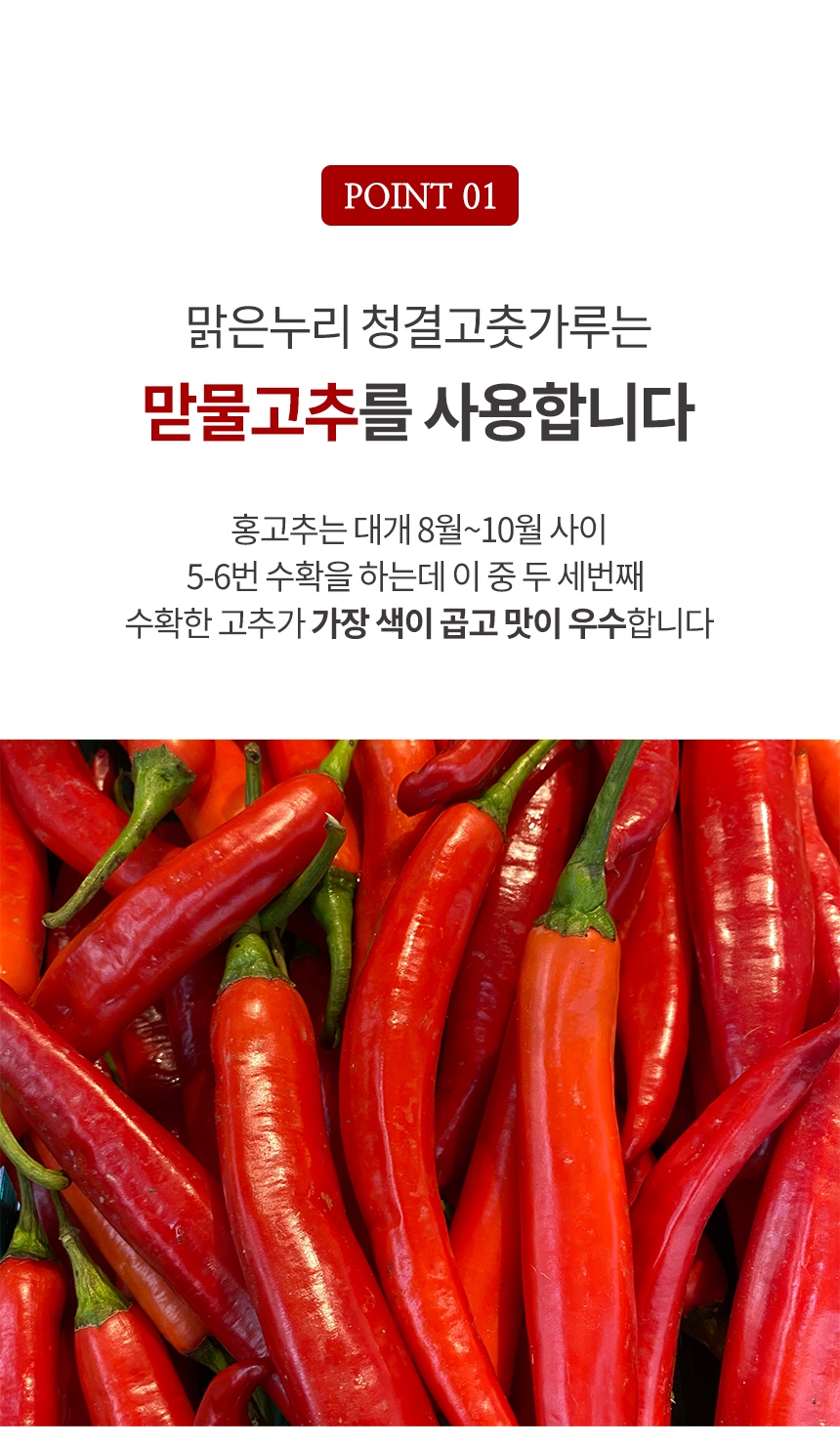 고춧가루_05.jpg